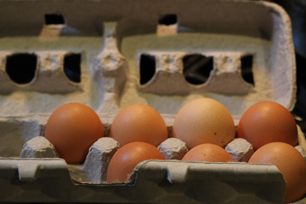 Tried and True Egg Substitutes | The Fresh Day